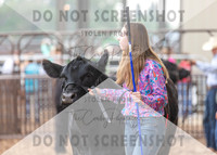 5Aug2021 RCF&R Beef Show-6021