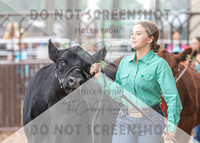 5Aug2021 RCF&R Beef Show-6018