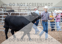 5Aug2021 RCF&R Beef Show-6028