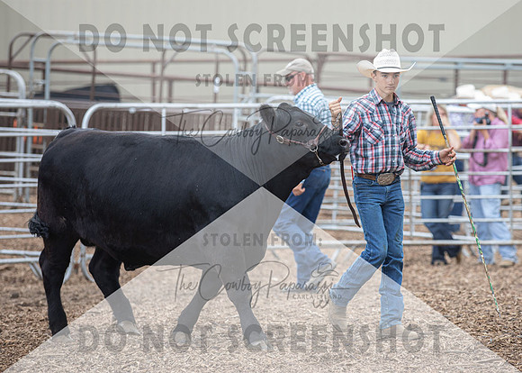 5Aug2021 RCF&R Beef Show-6028