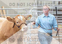 5Aug2021 RCF&R Beef Show-6034