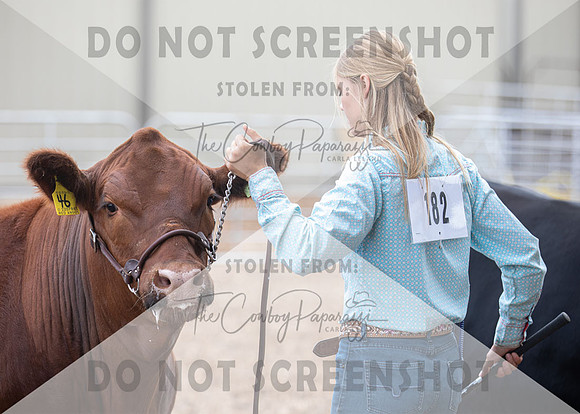 5Aug2021 RCF&R Beef Show-6046