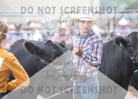 5Aug2021 RCF&R Beef Show-6049