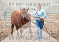 5Aug2021 RCF&R Beef Show-6039