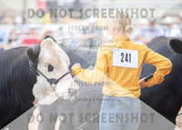 5Aug2021 RCF&R Beef Show-6048