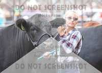 5Aug2021 RCF&R Beef Show-6050