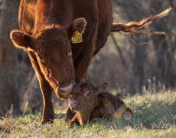 Fresh Babe, 5April2021 - 1760-