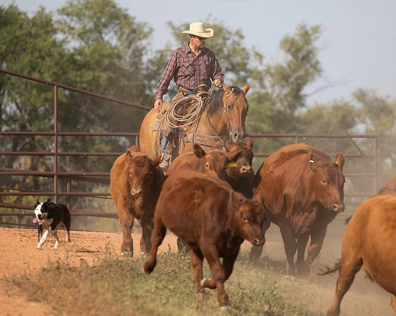 General Ranch Life.3_Carla Leland