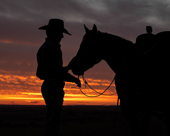Lot 11 - Silhouette