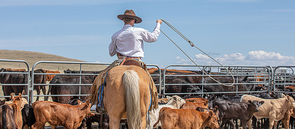 13May2021 Irwin Branding.HR-5389