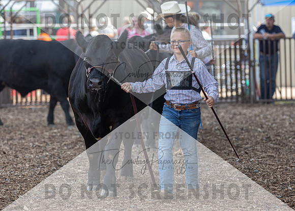 5Aug2021 RCF&R Beef Show-6555