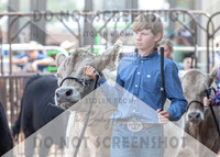5Aug2021 RCF&R Beef Show-6562