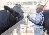 5Aug2021 RCF&R Beef Show-6567