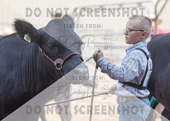 5Aug2021 RCF&R Beef Show-6567