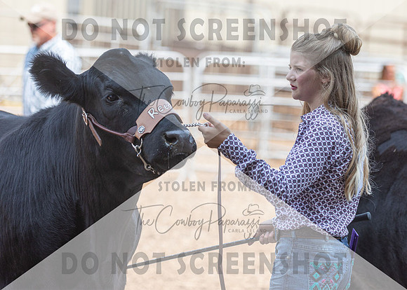 5Aug2021 RCF&R Beef Show-6569