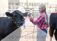 5Aug2021 RCF&R Beef Show-6572
