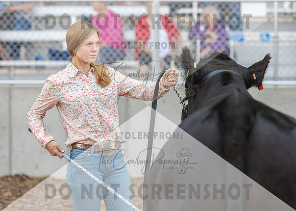 5Aug2021 RCF&R Beef Show-6582