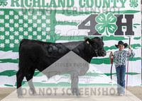 4Aug2021 RCF&R Beef Banner Images-3916