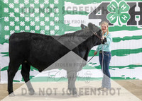 4Aug2021 RCF&R Beef Banner Images-3912