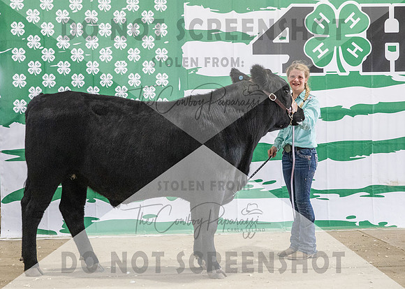 4Aug2021 RCF&R Beef Banner Images-3912