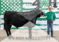 4Aug2021 RCF&R Beef Banner Images-3926