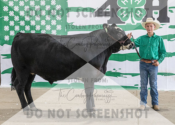 4Aug2021 RCF&R Beef Banner Images-3926