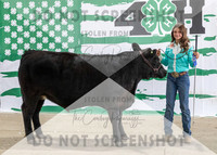 4Aug2021 RCF&R Beef Banner Images-3937