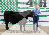 4Aug2021 RCF&R Beef Banner Images-3940