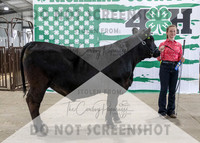 4Aug2021 RCF&R Beef Banner Images-3947