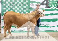 4Aug2021 RCF&R Beef Banner Images-3953