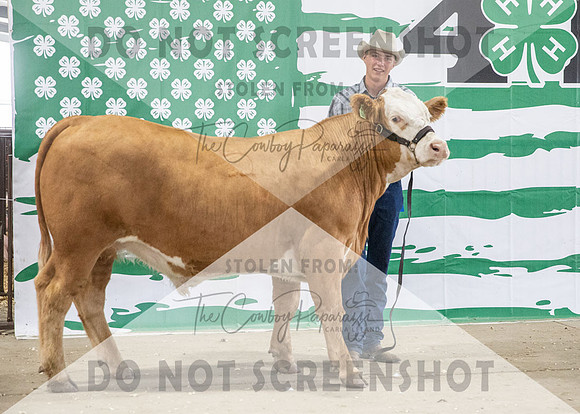 4Aug2021 RCF&R Beef Banner Images-3953