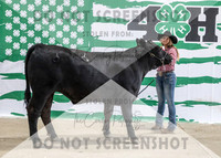 4Aug2021 RCF&R Beef Banner Images-3965