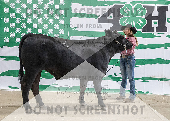 4Aug2021 RCF&R Beef Banner Images-3965
