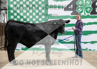 4Aug2021 RCF&R Beef Banner Images-3980