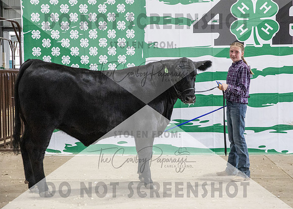 4Aug2021 RCF&R Beef Banner Images-3980