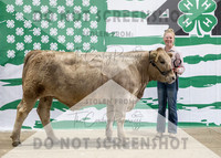 4Aug2021 RCF&R Beef Banner Images-3975