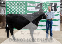 4Aug2021 RCF&R Beef Banner Images-3993