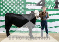 4Aug2021 RCF&R Beef Banner Images-4001