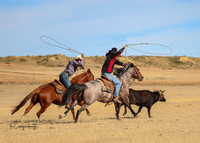 McMillen Pasture Roping, McMillen Ranch, Sidney, MT, Sep 22