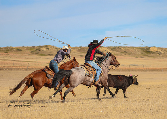 2024 McMillen Pasture Roping-3917