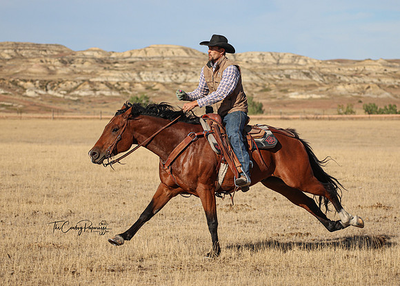 2024 McMillen Pasture Roping-4095