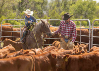 2025 LRA Hfr Branding-4234-2