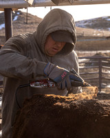 2024_1_30 Trimming Bulls-1474