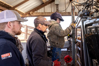 2024_1_30 Trimming Bulls-1495
