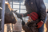 2024_1_30 Trimming Bulls-1544