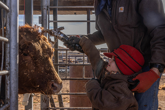 2024_1_30 Trimming Bulls-1556