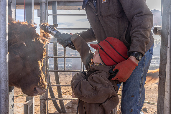 2024_1_30 Trimming Bulls-1563
