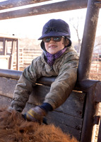 2024_1_30 Trimming Bulls-1593