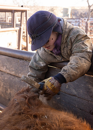 2024_1_30 Trimming Bulls-1583