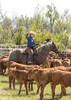 2025 LRA Hfr Branding-4227